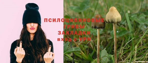 дмт Богородск