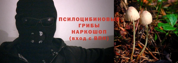 метадон Богородицк