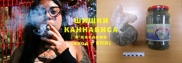 МДПВ Болотное