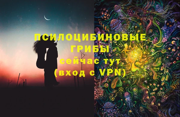 метадон Богородицк